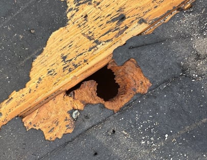 Dimensional Lumber Hole-1