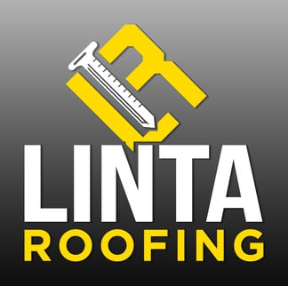 LR_logo_full color (4)
