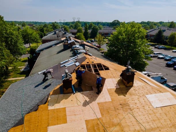 Roofing Project in Progress