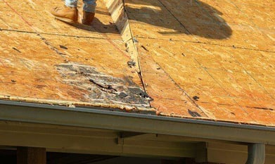 Rotted Roof Deck