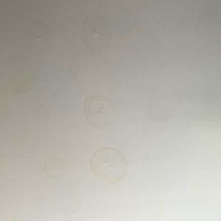 ceiling stains-1