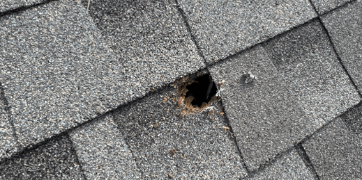 hole in roof