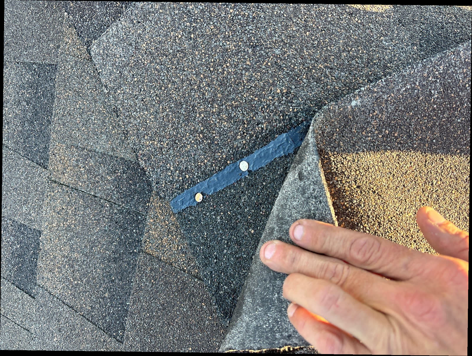 Hand lifting an asphalt shingle to show a nail sealed with roofing cement