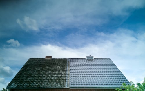 Roof Cleaning