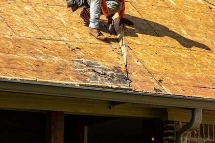 Roof rot example