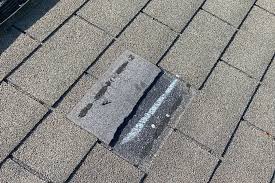 Damaged shingles