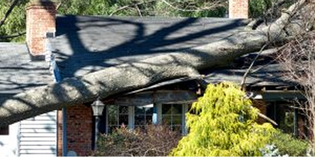 Storm damage assistance in North Myrtle Beach
